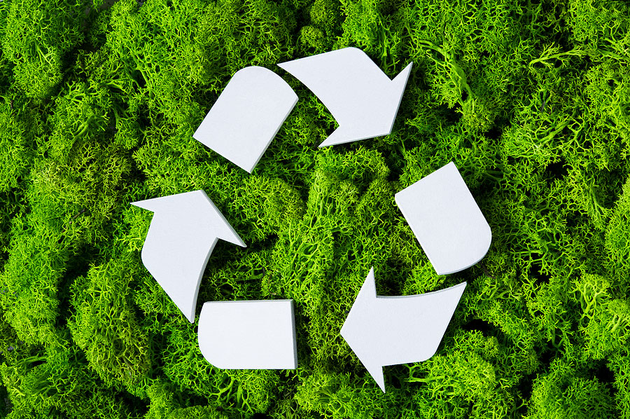 Top view of white recycle symbol on trees